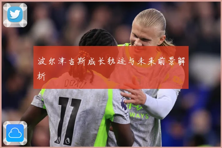 波尔津吉斯成长轨迹与未来前景解析