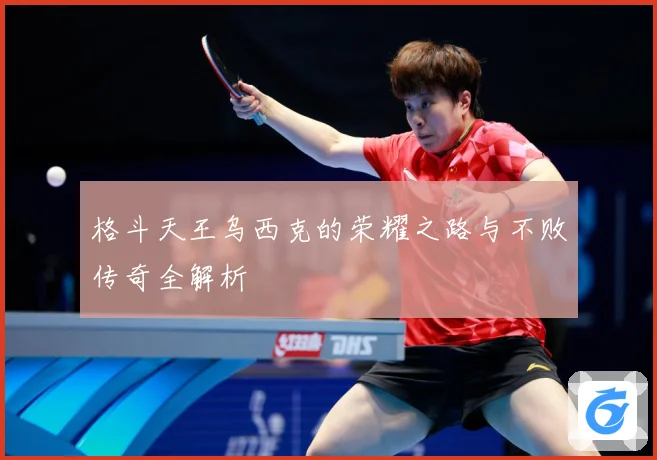 格斗天王乌西克的荣耀之路与不败传奇全解析
